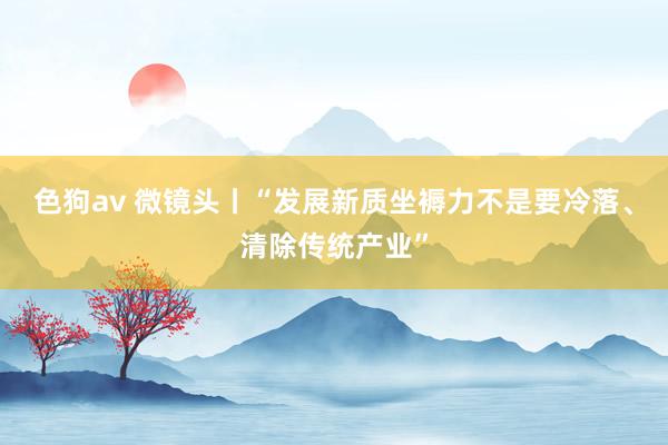 色狗av 微镜头丨“发展新质坐褥力不是要冷落、清除传统产业”