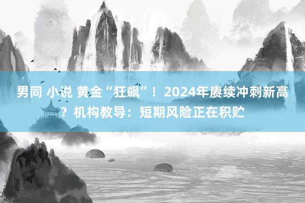 男同 小说 黄金“狂飙”！2024年赓续冲刺新高？机构教导：短期风险正在积贮