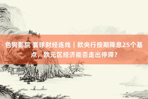 色狗影院 寰球财经连线｜欧央行按期降息25个基点，欧元区经济能否走出停滞？