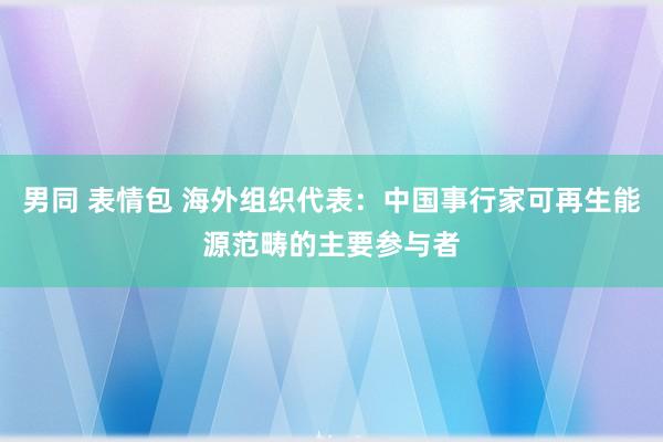 男同 表情包 海外组织代表：中国事行家可再生能源范畴的主要参与者