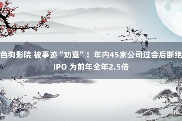色狗影院 被事迹“劝退”！年内45家公司过会后断绝IPO 为前年全年2.5倍