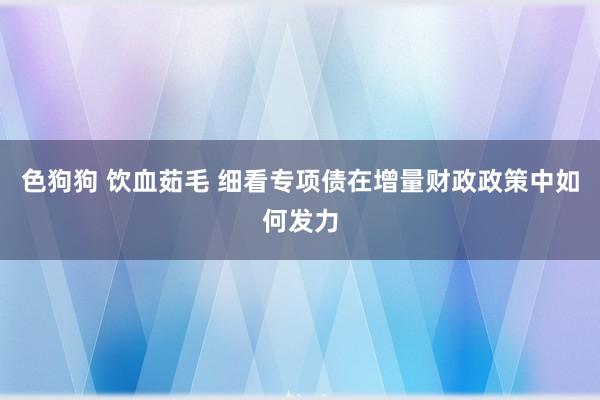 色狗狗 饮血茹毛 细看专项债在增量财政政策中如何发力