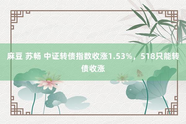 麻豆 苏畅 中证转债指数收涨1.53%，518只能转债收涨