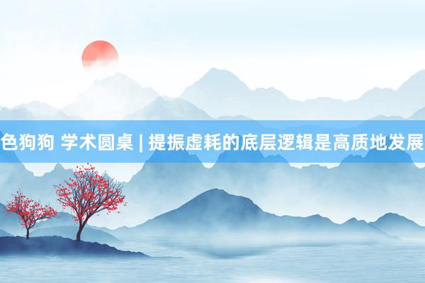 色狗狗 学术圆桌 | 提振虚耗的底层逻辑是高质地发展