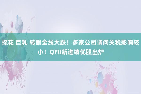 探花 巨乳 转眼全线大跌！多家公司请问关税影响较小！QFII新进绩优股出炉